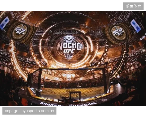 UFC选手需自行承担高昂的团队费用及税款，实际到手收入远低于账面奖金。
